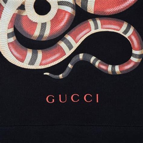 gucci snake pet|Gucci snake collection.